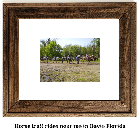 horse trail rides near me in Davie, Florida